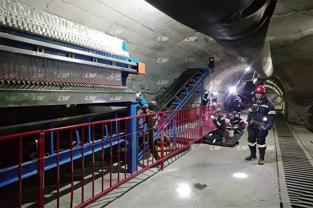 Loway High-Pressure Membrane Filter press industry application Mining project case