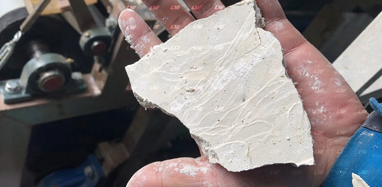 Dewatered filter cake from a belt filter press