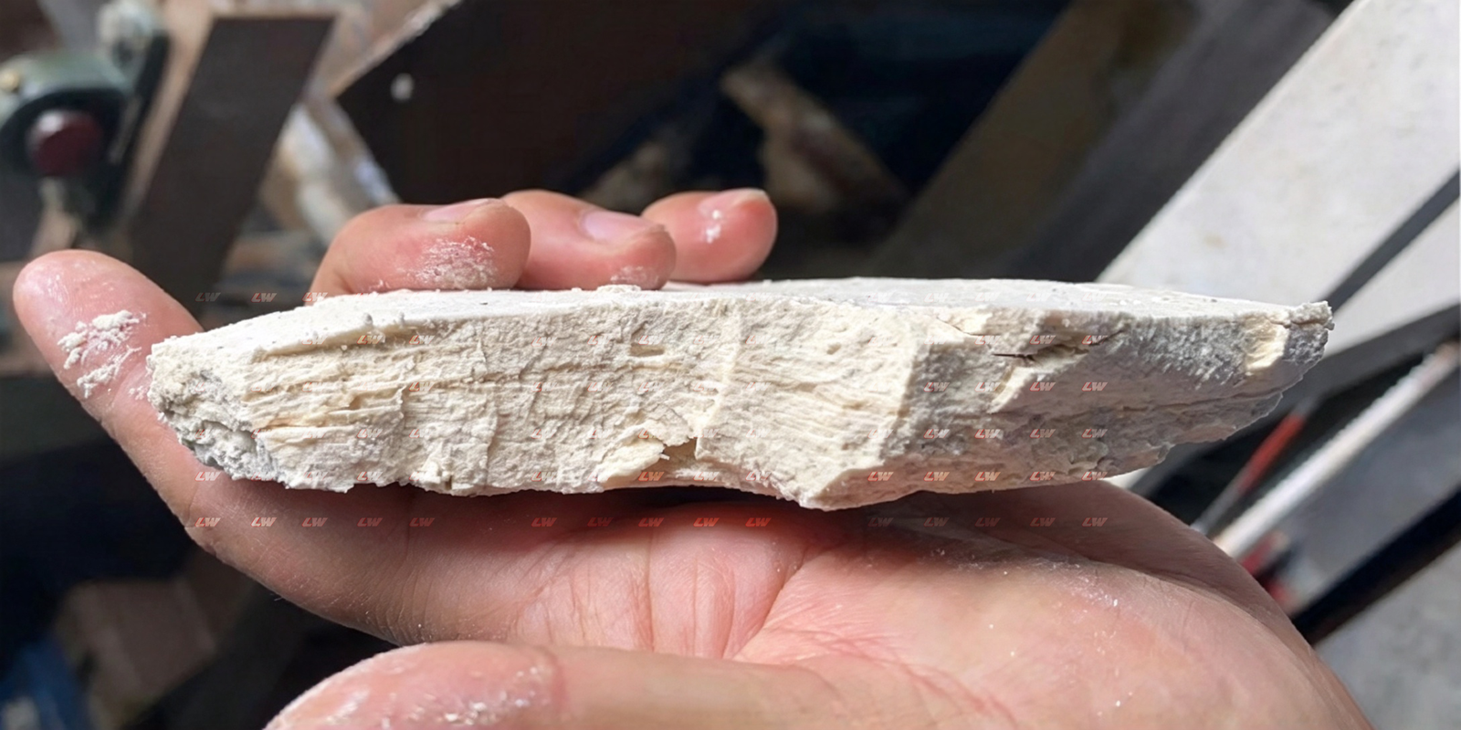 Dewatered cake from a Loway high-pressure belt filter press held in one hand
